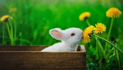 回应孙继海青训纠纷！中国足协：暂中止该案审理